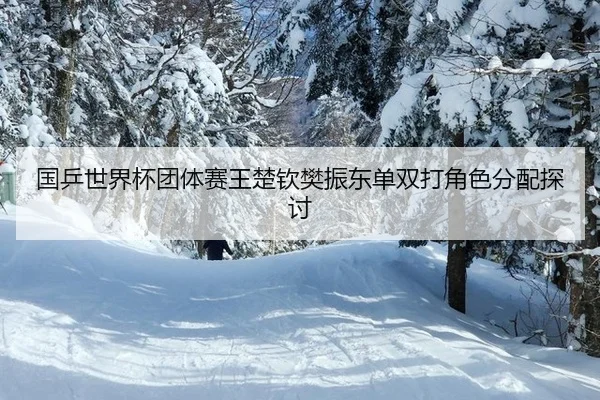 guo-ping-shi-jie-bei-tuan-ti-sai-wang-chu-qin-fan-zhen-dong-dan-shuang-da-jue-se-fen-pei-tan-tao-2-712.jpg